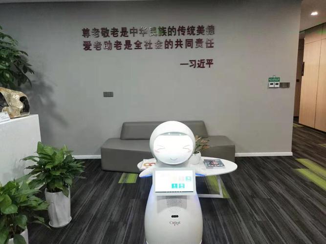 上海质量医疗机器人诚信服务 昆山新正源机器人智能科技供应与消费机器人销售